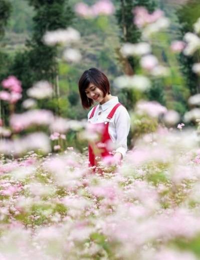 Lý do bạn muốn Hà Giang khởi hành ngay lập tức - Ảnh 1 Lý do bạn muốn Hà Giang khởi hành ngay lập tức - Ảnh 1