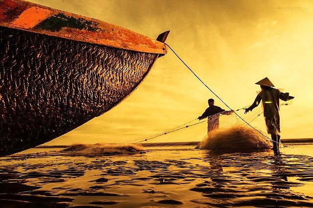 Ngắm bình minh trên bãi biển Cửa Lò - Ảnh 7 Ngắm bình minh trên bãi biển Cửa Lò - Ảnh 7