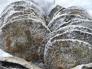 7 đặc sản mang về làm quà khi đi du lịch Cửa Lò 7 đặc sản mang về làm quà khi đi du lịch Cửa Lò