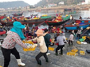 Hải Sản Cửa Lò Hút Khách Du Lịch Hải Sản Cửa Lò Hút Khách Du Lịch