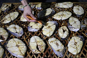 Đột nhập vào làng nướng cá tại Cửa Lò Đột nhập vào làng nướng cá tại Cửa Lò