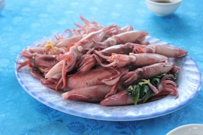 Mực Nháy Cửa Lò Mực Nháy Cửa Lò