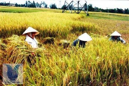 Huyện Yên Thành Nghệ An