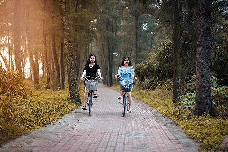 Team Building Đốt Lửa Trại Nối Vòng Tay Lớn: Biển Cửa Lò - Quê Bác - Nghệ An | 3 Ngày 2 Đêm ( Tiêu Chuẩn 2 Sao)