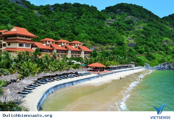 Tổng hợp Kinh Nghiệm Khám Phá biển Cửa Lò tự túc giá rẻ 2025 - Ảnh 3