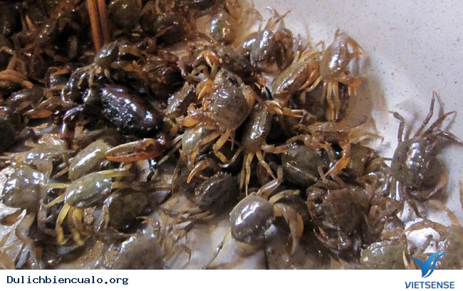 7 đặc sản mang về làm quà khi đi thăm quan Cửa Lò - Ảnh 4