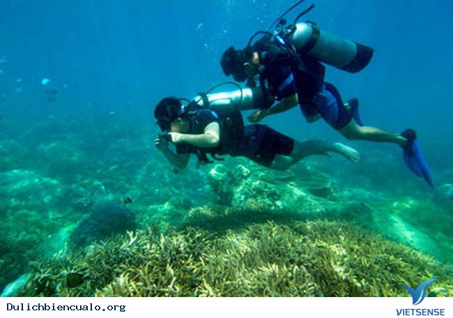 hành trình tắm biển, thể thao - Ảnh 3 hành trình tắm biển, thể thao - Ảnh 3