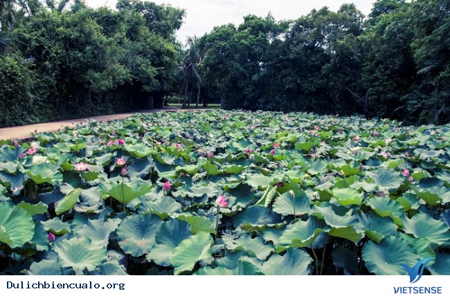 Tổng hợp Kinh Nghiệm Khám Phá biển Cửa Lò tự túc giá rẻ 2025 - Ảnh 10