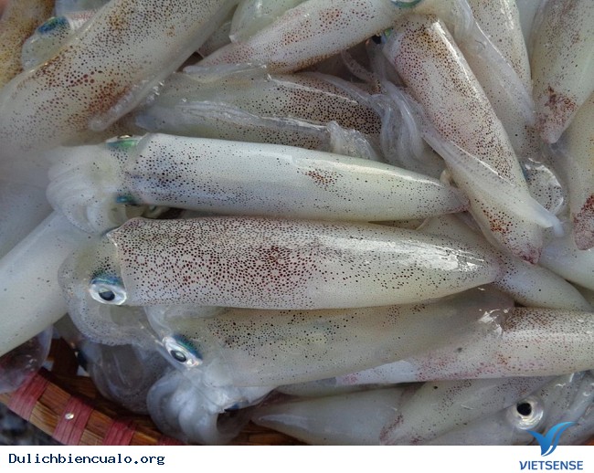 Tổng hợp Kinh Nghiệm Khám Phá biển Cửa Lò tự túc giá rẻ 2025 - Ảnh 11