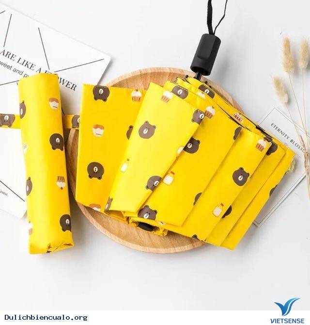 10 Vật Dụng Bạn Thường Bỏ Quên Khi đi thăm quan - Ảnh 5