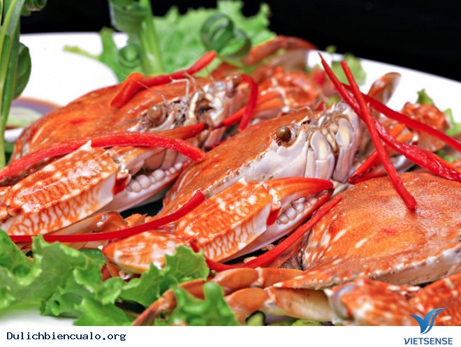 Check In Cửa Lò Với Chi Phí Thấp Nhất - Ảnh 4 Check In Cửa Lò Với Chi Phí Thấp Nhất - Ảnh 4