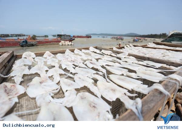 Hải Sản Cửa Lò Hút khách thăm quan - Ảnh 6 Hải Sản Cửa Lò Hút khách thăm quan - Ảnh 6