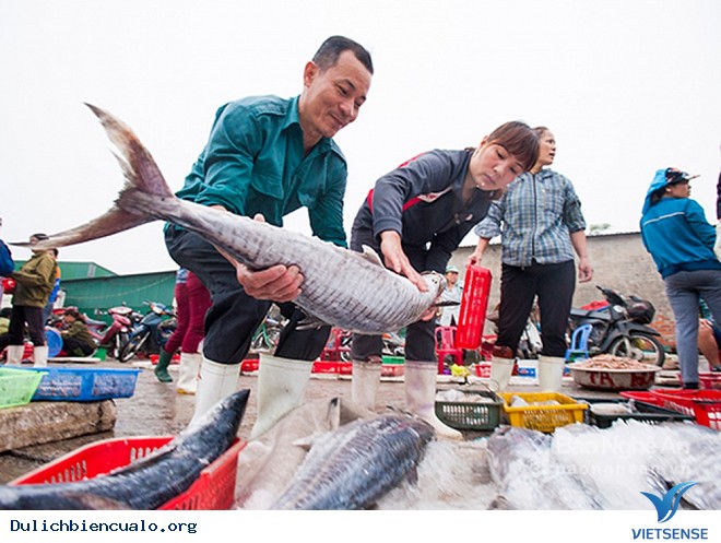 Hải Sản Cửa Lò Hút khách thăm quan - Ảnh 2 Hải Sản Cửa Lò Hút khách thăm quan - Ảnh 2
