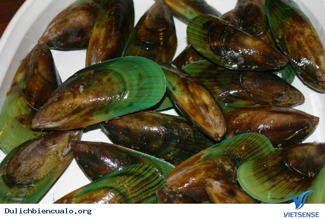 Hải Sản Cửa Lò Hút khách thăm quan - Ảnh 4 Hải Sản Cửa Lò Hút khách thăm quan - Ảnh 4