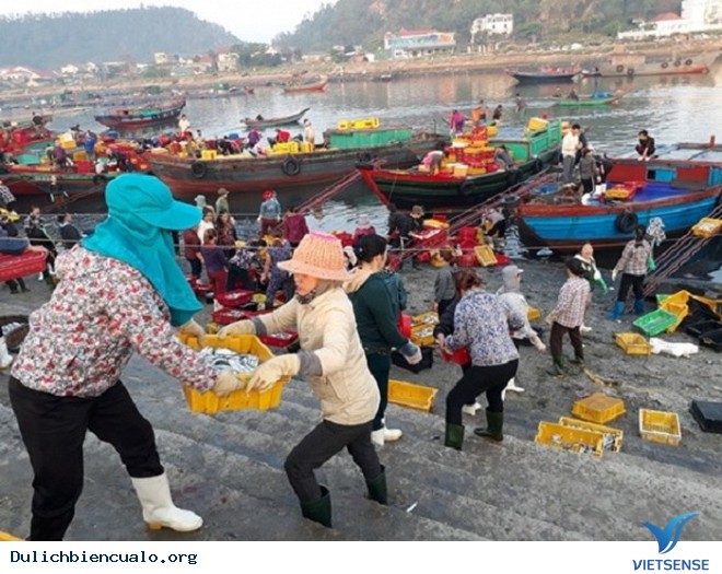 Hải Sản Cửa Lò Hút khách thăm quan - Ảnh 1 Hải Sản Cửa Lò Hút khách thăm quan - Ảnh 1