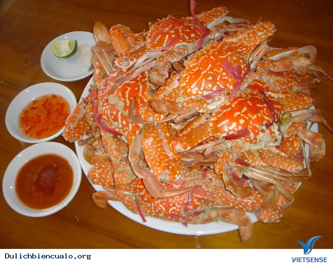 Liên Hoan Ẩm Thực hành trình Quốc Tế Ở Cửa Lò - Ảnh 2 Liên Hoan Ẩm Thực hành trình Quốc Tế Ở Cửa Lò - Ảnh 2