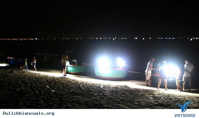 Trải Nghiệm Câu Mực Đêm Ở Cửa Lò - Ảnh 1