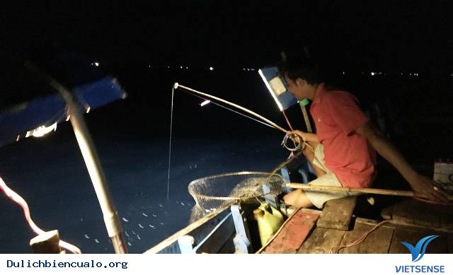 Trải Nghiệm Câu Mực Đêm Ở Cửa Lò - Ảnh 4