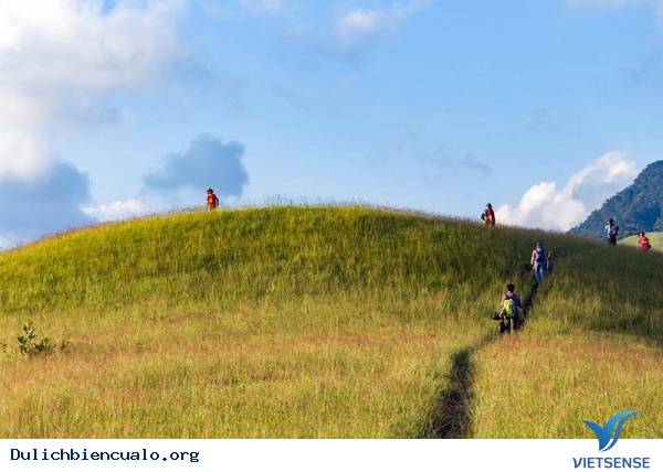 5 điểm để khám phá kỳ lạ trẻ mới 2016 - Ảnh 1 5 điểm để khám phá kỳ lạ trẻ mới 2016 - Ảnh 1