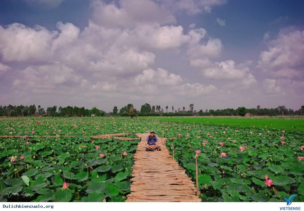 9 điểm check-in không thể bỏ qua khi đến đồng tháp - Ảnh 1