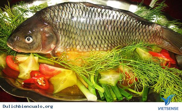 Cá Mát Sông Giăng - Ảnh 1 Cá Mát Sông Giăng - Ảnh 1