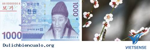 Câu chuyện đằng sau các đồng tiền Hàn Quốc - Ảnh 1 Câu chuyện đằng sau các đồng tiền Hàn Quốc - Ảnh 1