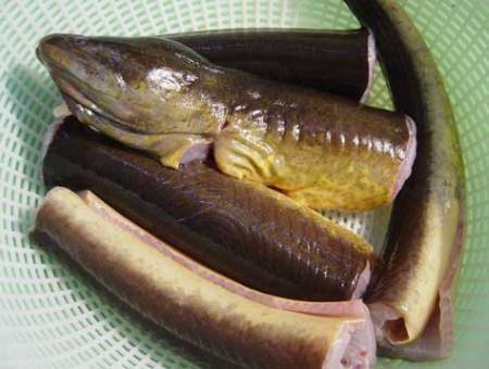 Cháo Lươn Xứ Nghệ - Ảnh 2 Cháo Lươn Xứ Nghệ - Ảnh 2