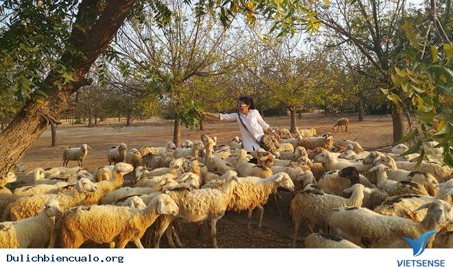 Cô Gái 9X Và Chuyến Đi 15 Ngày Độc Hành Ven Biển Nam Trung Bộ - Ảnh 7 Cô Gái 9X Và Chuyến Đi 15 Ngày Độc Hành Ven Biển Nam Trung Bộ - Ảnh 7
