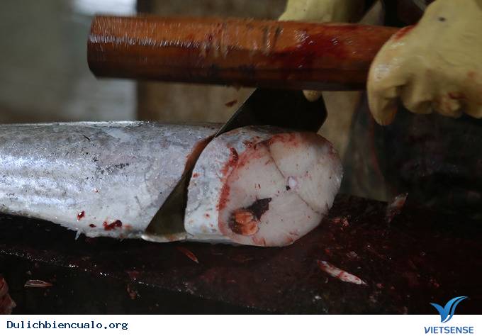 Đột nhập vào làng nướng cá tại Cửa Lò - Ảnh 5 Đột nhập vào làng nướng cá tại Cửa Lò - Ảnh 5