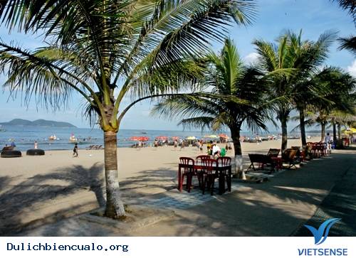 hành trình Biển Cửa Lò Tham Quan Nghề Nướng Cá Độc Đáo - Ảnh 1 hành trình Biển Cửa Lò Tham Quan Nghề Nướng Cá Độc Đáo - Ảnh 1