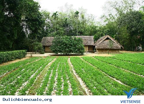 Khu di tích lịch sử Kim Liên Khu di tích lịch sử Kim Liên