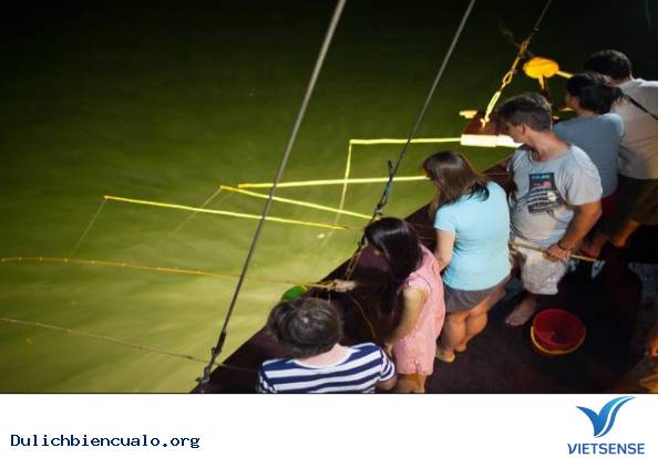 Các hoạt động thú vị