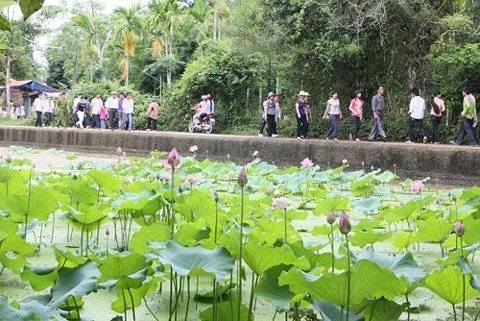 Làng Sen Quê Bác - Ảnh 1