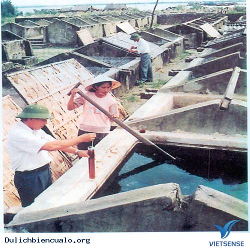 Nước Mắm Cửa Lò Nghệ An - Ảnh 1 Nước Mắm Cửa Lò Nghệ An - Ảnh 1