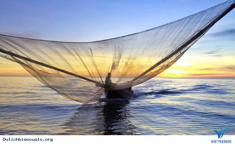 Ruốc biển đặc sản cửa lò - Ảnh 3 Ruốc biển đặc sản cửa lò - Ảnh 3