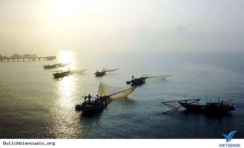 Ruốc biển đặc sản cửa lò - Ảnh 1 Ruốc biển đặc sản cửa lò - Ảnh 1