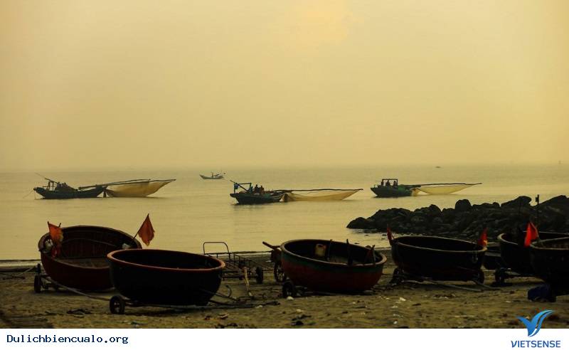 Ruốc biển đặc sản cửa lò - Ảnh 2 Ruốc biển đặc sản cửa lò - Ảnh 2