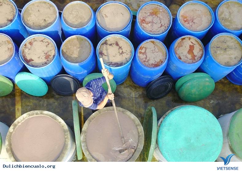 Ruốc biển đặc sản cửa lò - Ảnh 8 Ruốc biển đặc sản cửa lò - Ảnh 8