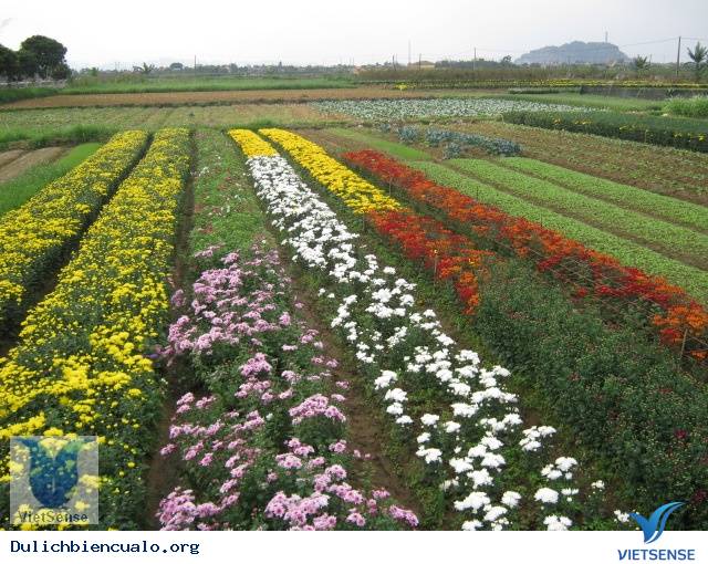 Thành phố Ninh Bình Thành phố Ninh Bình