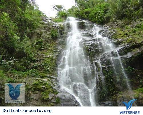 Vườn quốc gia Pù Mát Vườn quốc gia Pù Mát